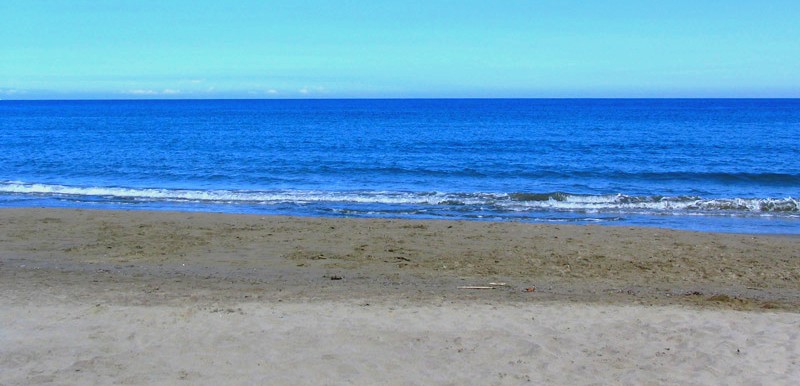 mare_207.jpg