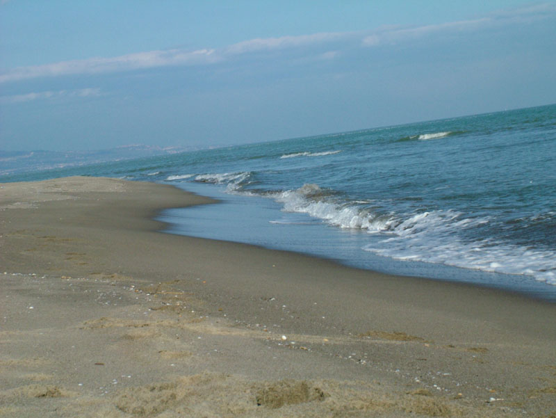 mare.jpg