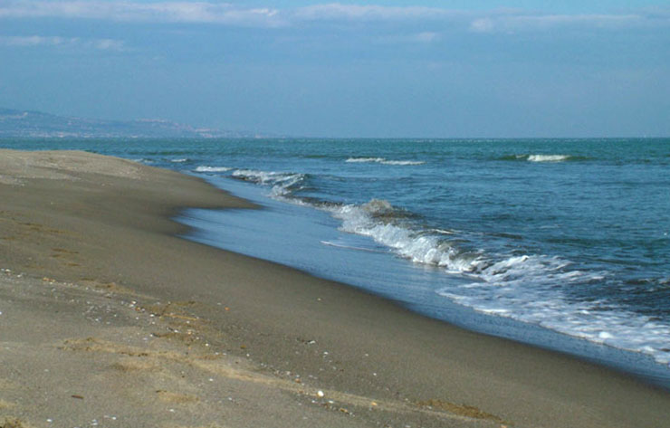 mare_365.jpg