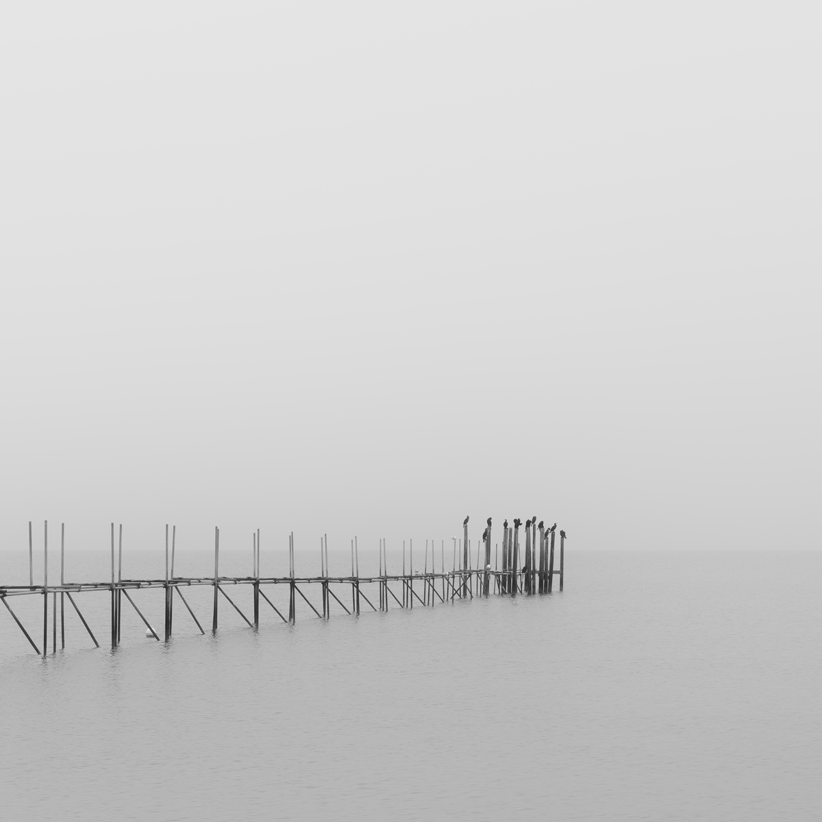 mare d'inverno2.jpg