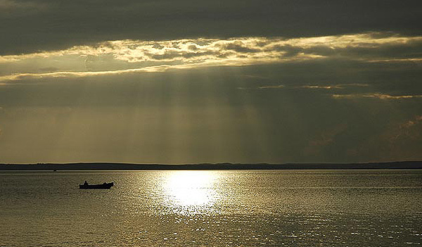 mare weba.jpg