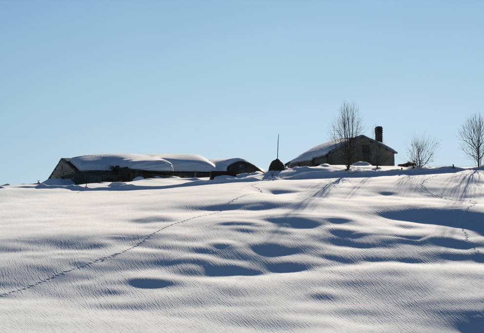 marebianco1.jpg