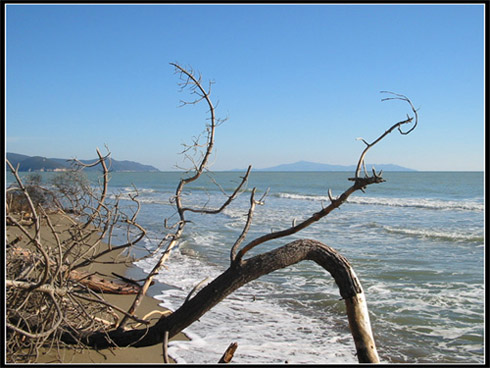 marina di alberese.JPG