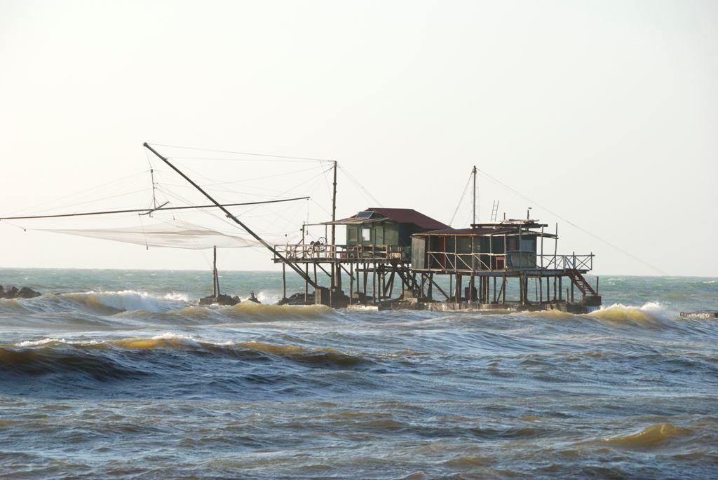 Marina di pisa 036.jpg