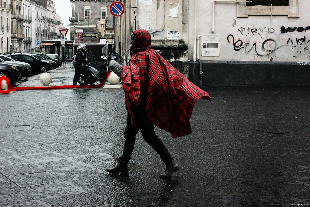 mario lisi1.jpg