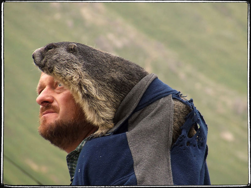 marmotta-in-spalla.jpg
