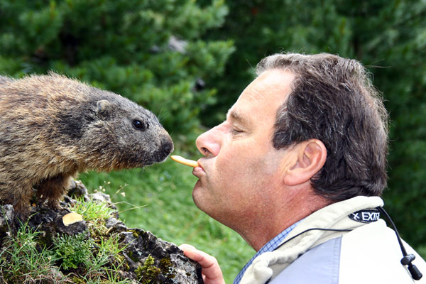 Marmotta.jpg