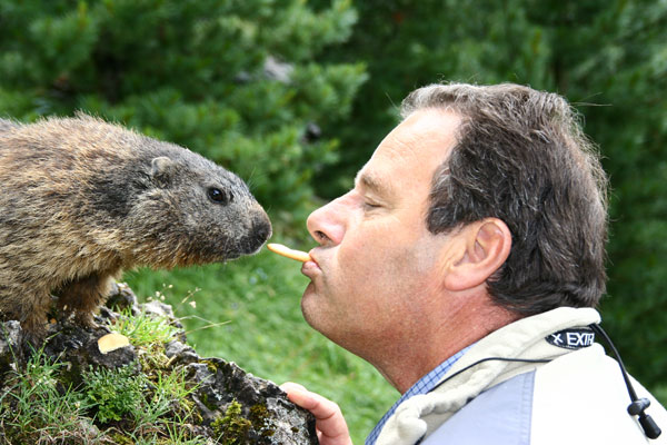 Marmotta.jpg