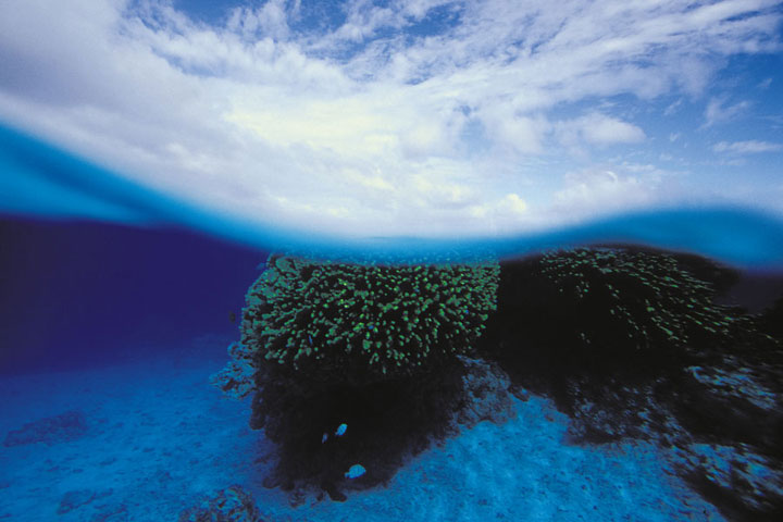 Marutea_Sud_xxxl.jpg