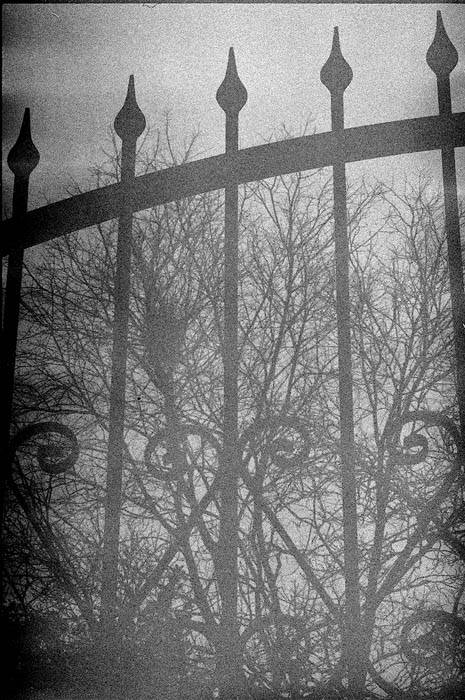 Marzo06_6.jpg