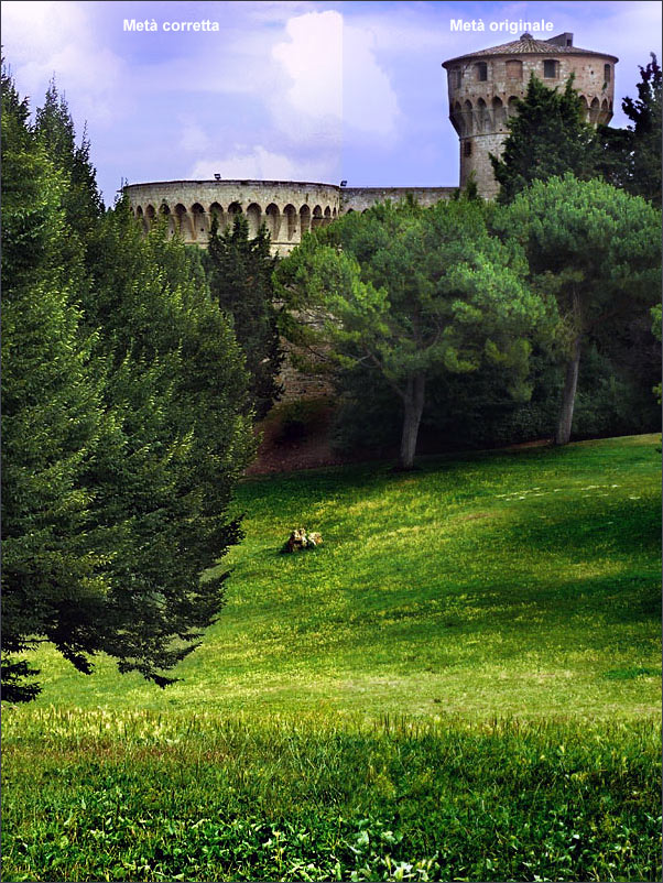 matteo_volterra.jpg