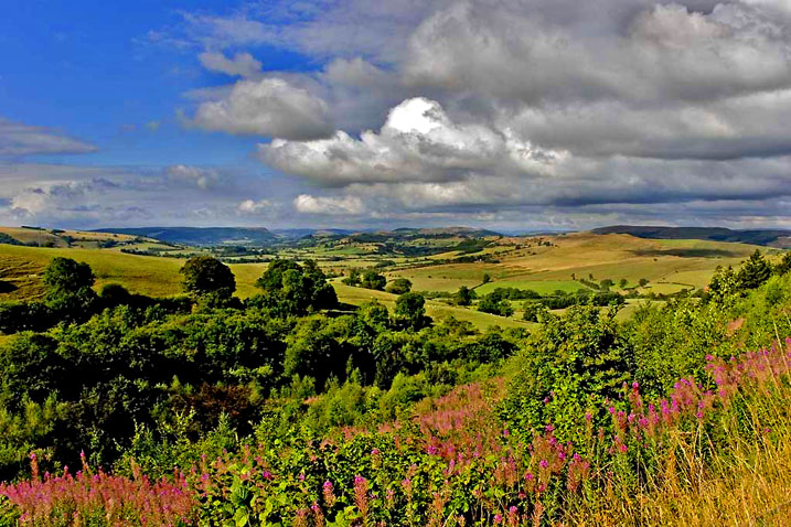 maurir ed_edited-1.jpg