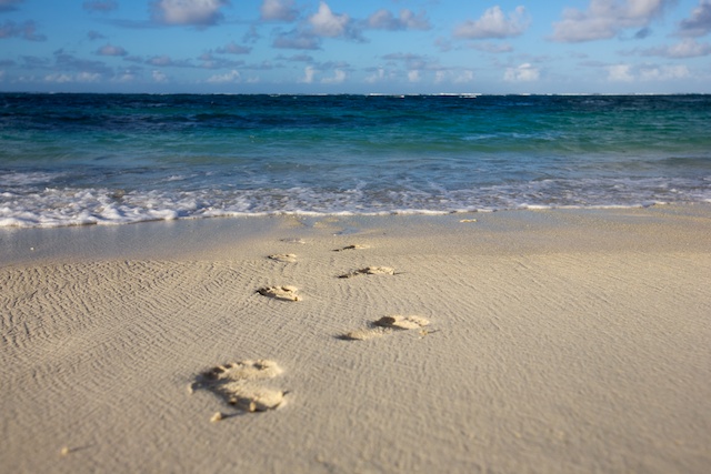 Mauritius 2011 7904 (1 of 1).jpg