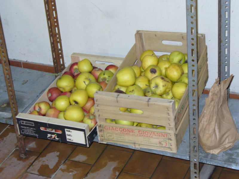 mele in interno.jpg