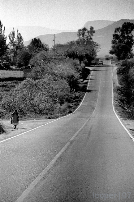 mex_strada.jpg