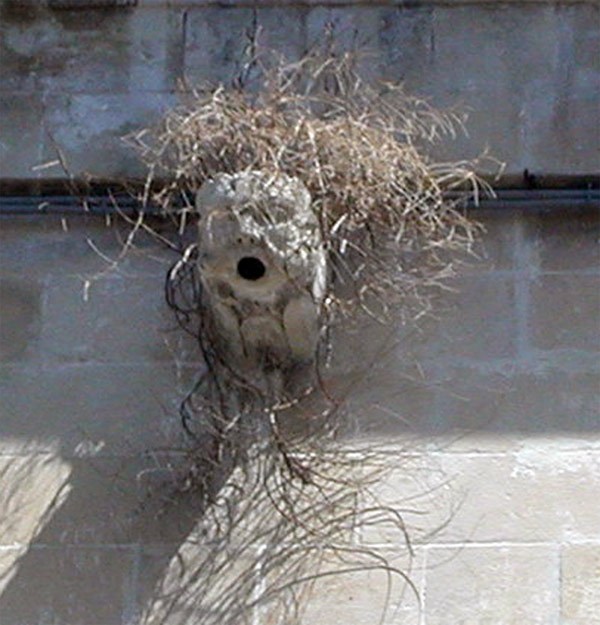 mi-serve-un-parrucchiere.jpg