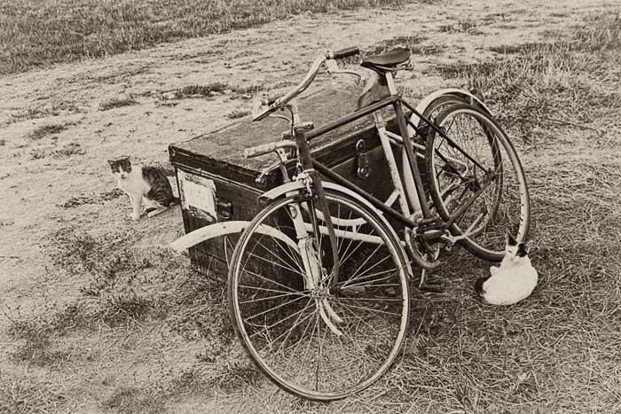 mici-in-bici-sistemata.jpg