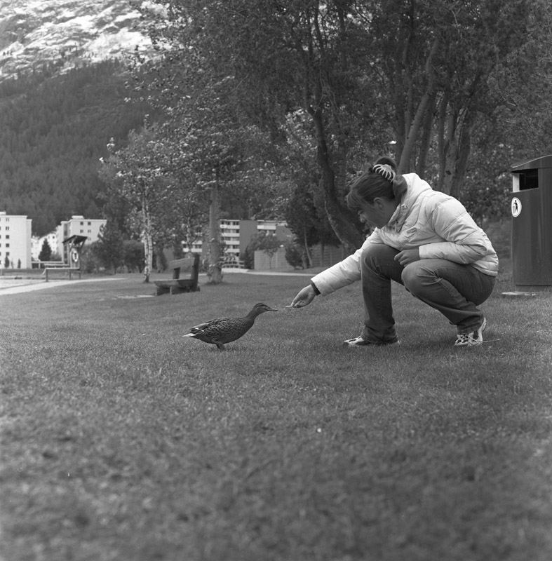 Microphen 1+3 rid2.jpg