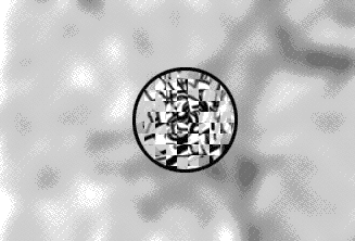 microprism_focus.gif