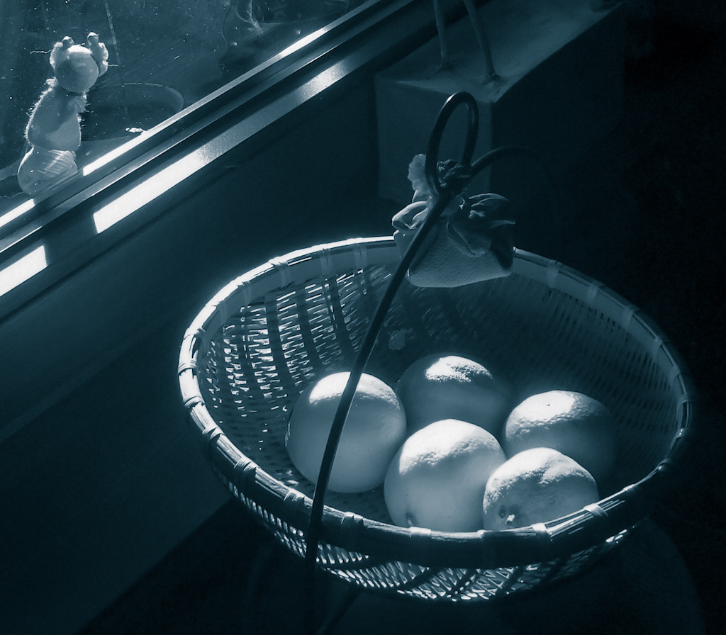 miM-pupazzo-e-limoni-notte.jpg