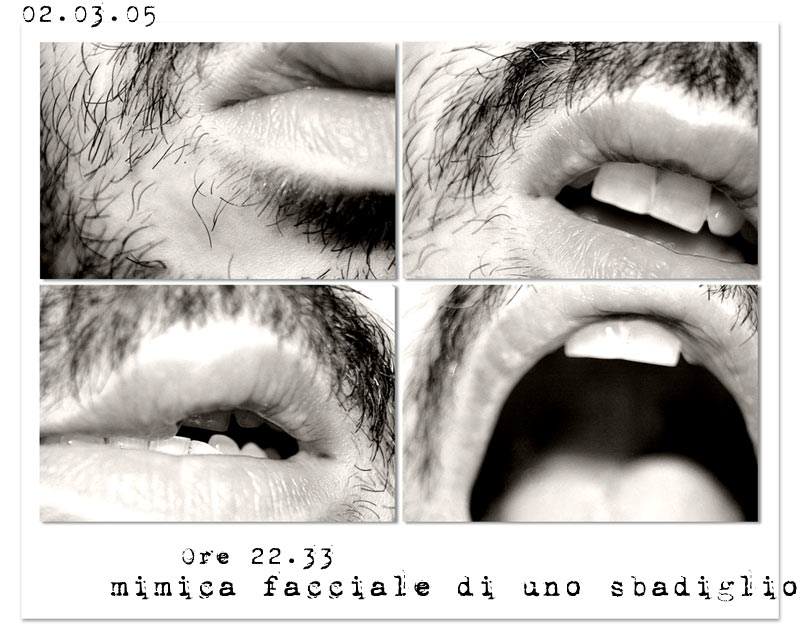 mimica.jpg