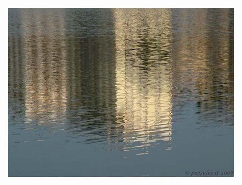 mini-cittriflessa15 .jpg