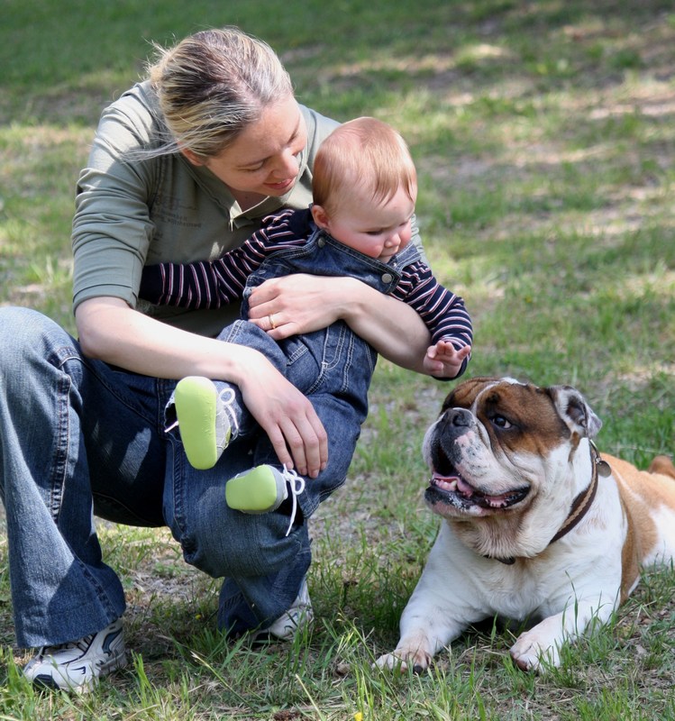 mini-Doggy Park 293.jpg