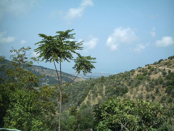 mini-gargano.jpg