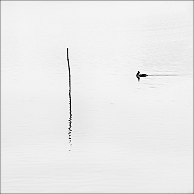 minimal.jpg