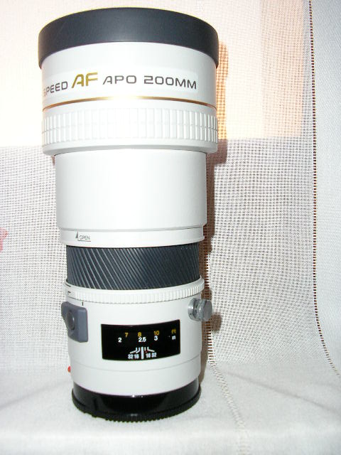minolta 017.jpg