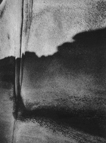 minor white Scan1910080019.JPG
