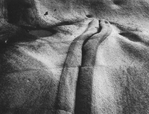 minor white Scan1910080022.JPG