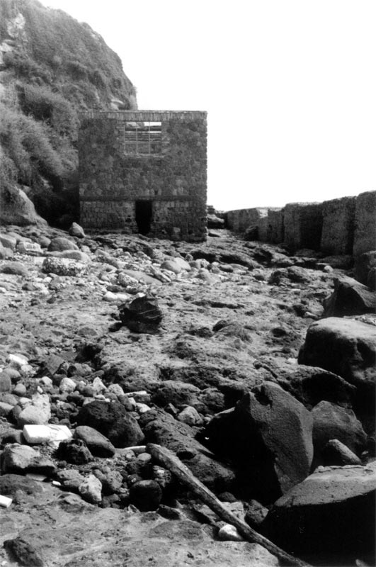 minox3.jpg