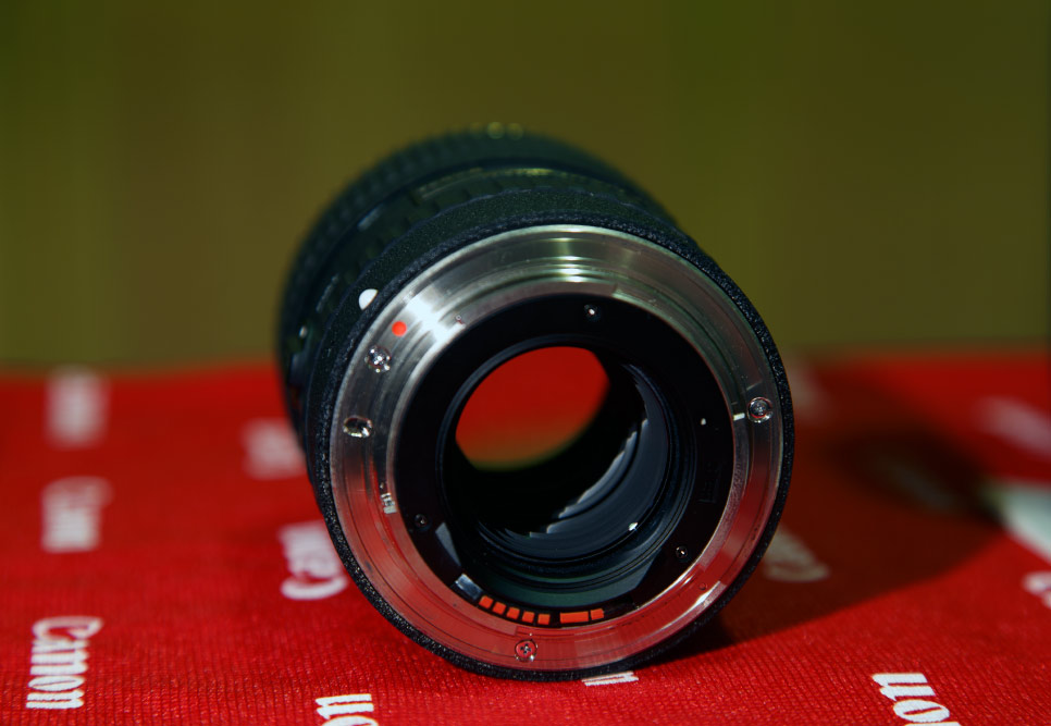 miotokina3.jpg