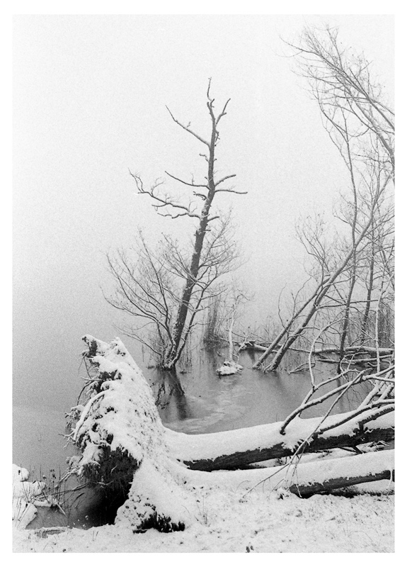 miraggio-invernale2.jpg