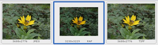 Misure TIFF_JPEG_RAW.JPG