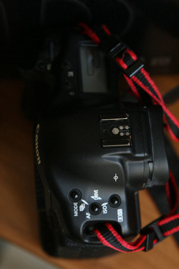 MK3_6274.JPG