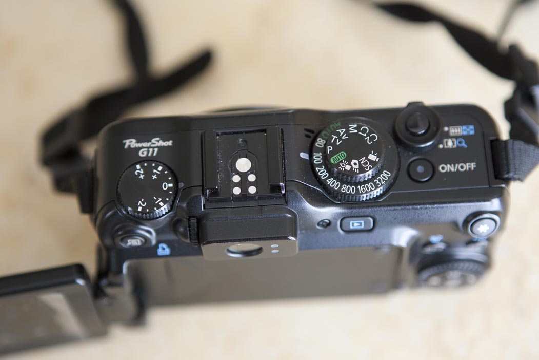 ML6T5936.jpg