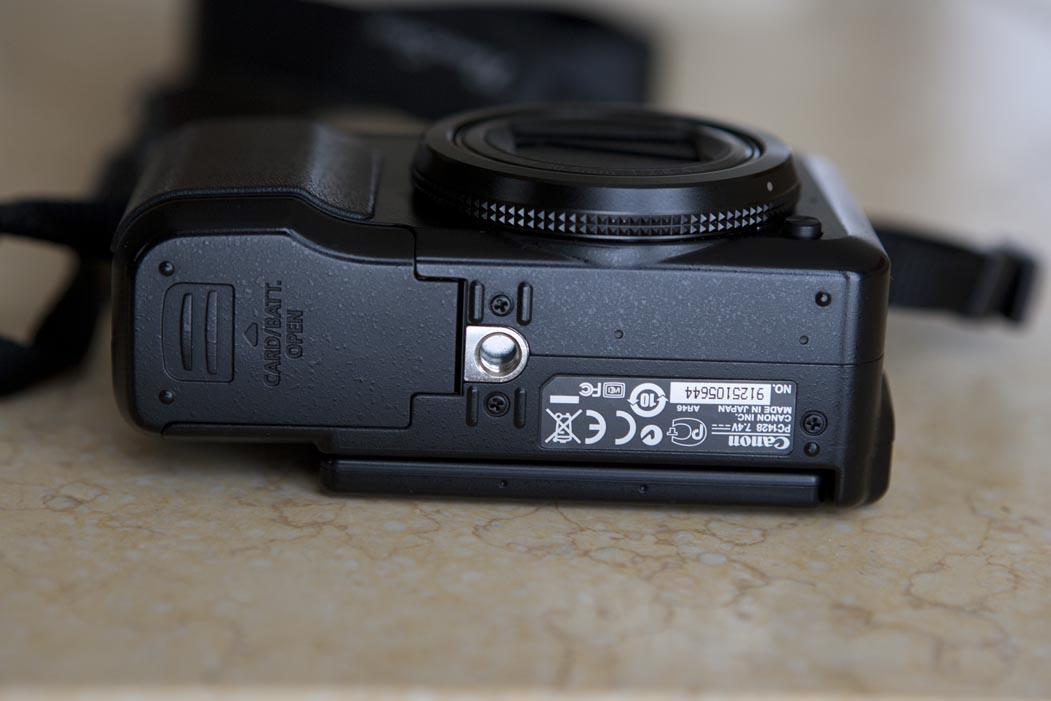 ML6T5940.jpg