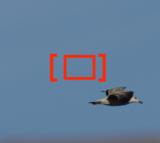 Modulo.jpg