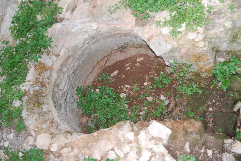 MOLFETTA_3 Nitriera.jpg