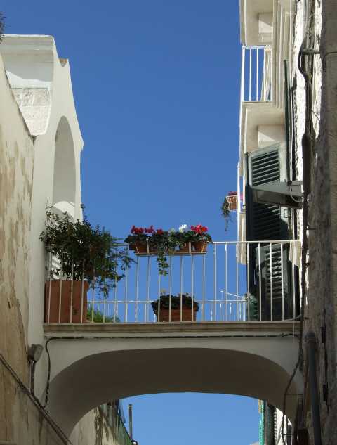 Molfetta vecchia - Balcone 1.jpg