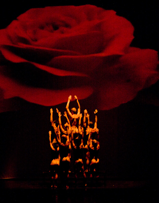 momix-12.jpg