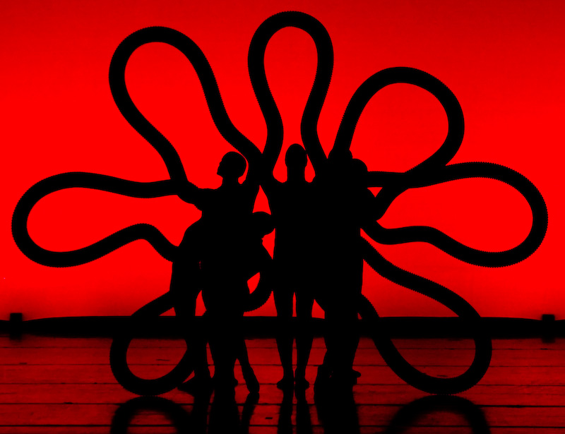 momix-6.jpg