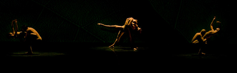 momix-7.jpg