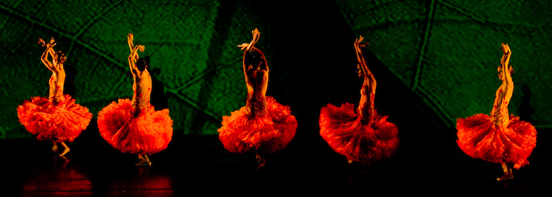 momix-9.jpg