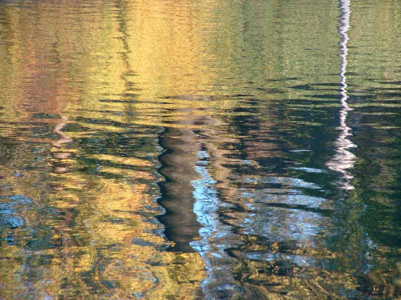Monet.jpg