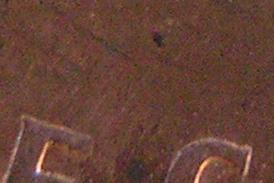 monetina-crop.JPG
