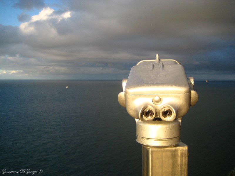 Monkeyphoto4u.JPG