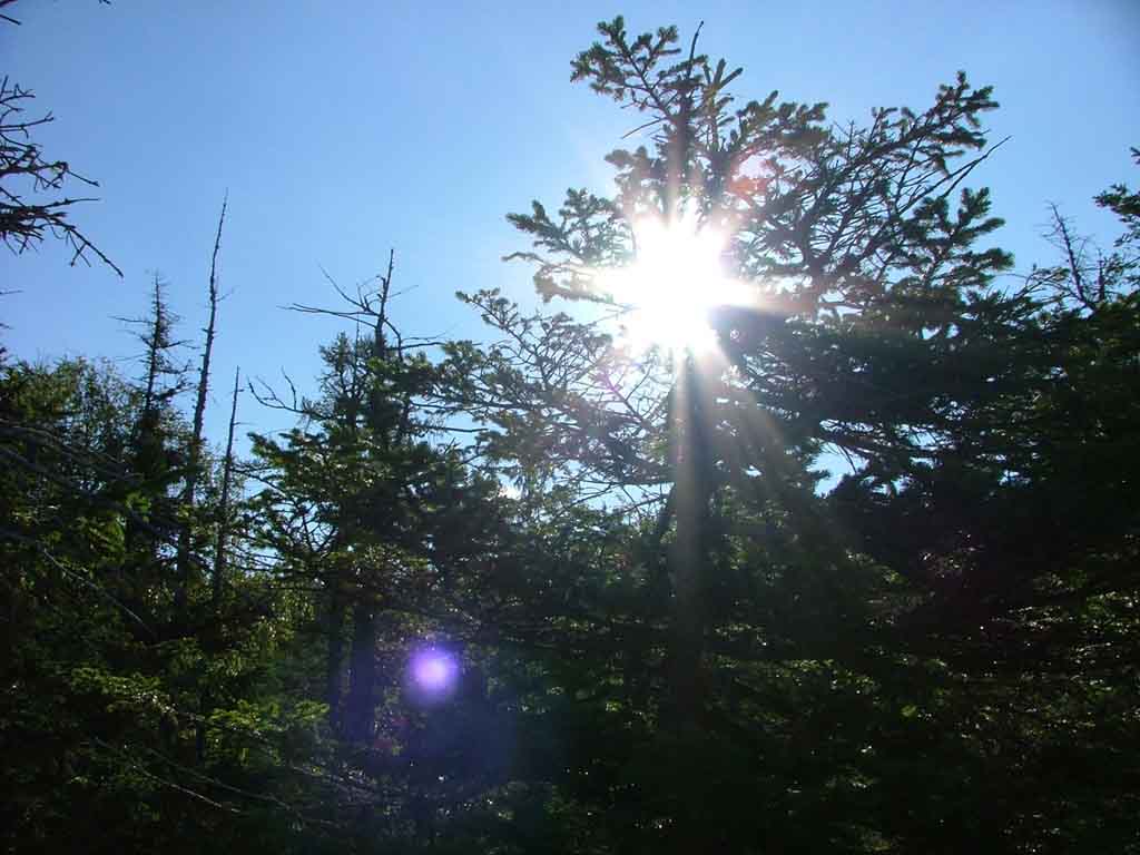 montagna3.jpg